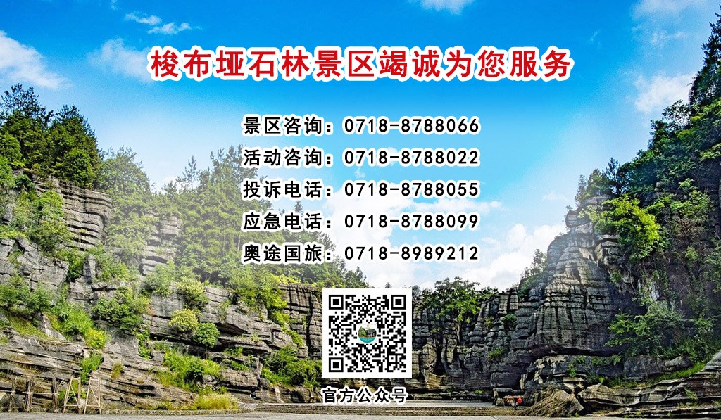 6555ce05446c9.jpg